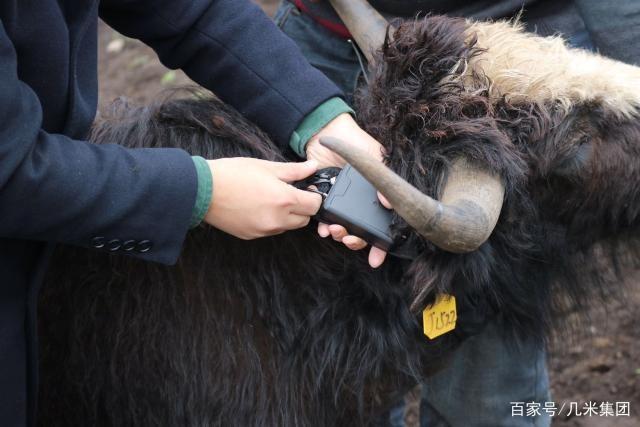 【成都北斗卫星定位】北斗系统加快发展 赶超GPS或许只是时间问题